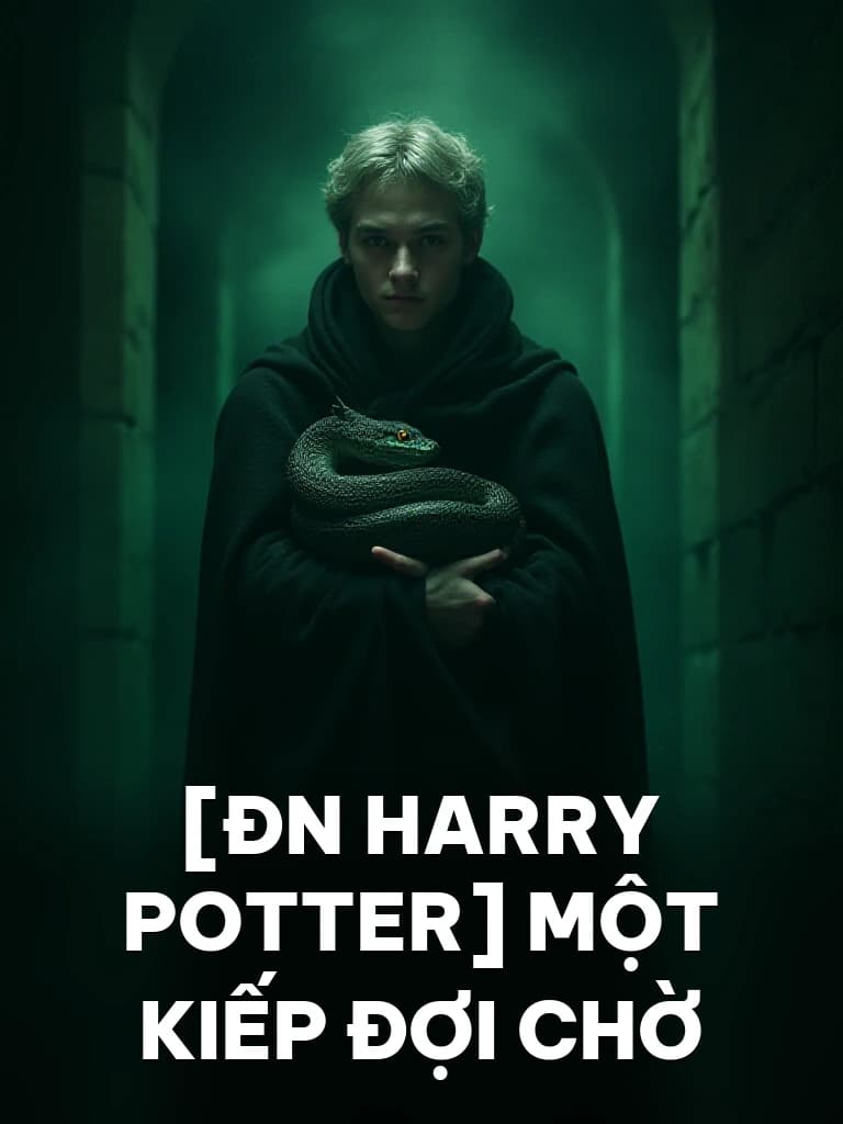 [ĐN Harry Potter] Một Kiếp Đợi Chờ - Cover image