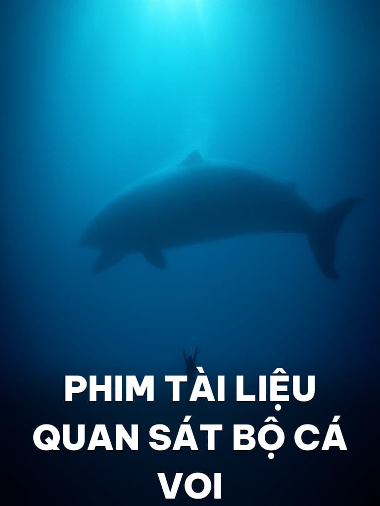 Phim Tài Liệu Quan Sát Bộ Cá Voi - Cover image