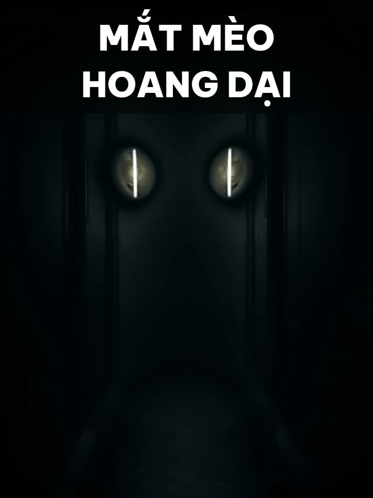 Mắt Mèo Hoang Dại - Cover image