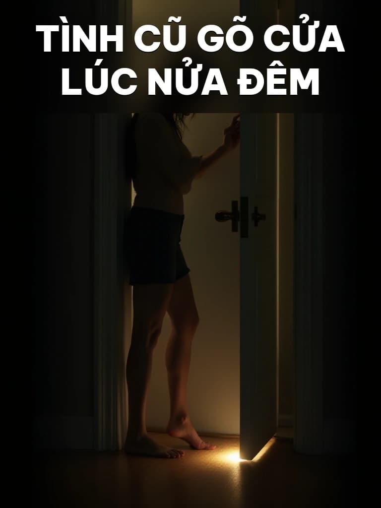 Tình Cũ Gõ Cửa Lúc Nửa Đêm - Cover image
