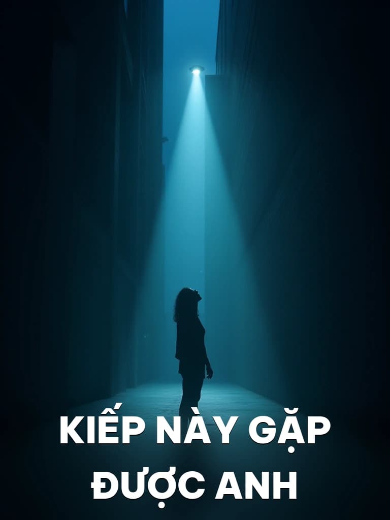 Kiếp Này Gặp Được Anh - Cover image