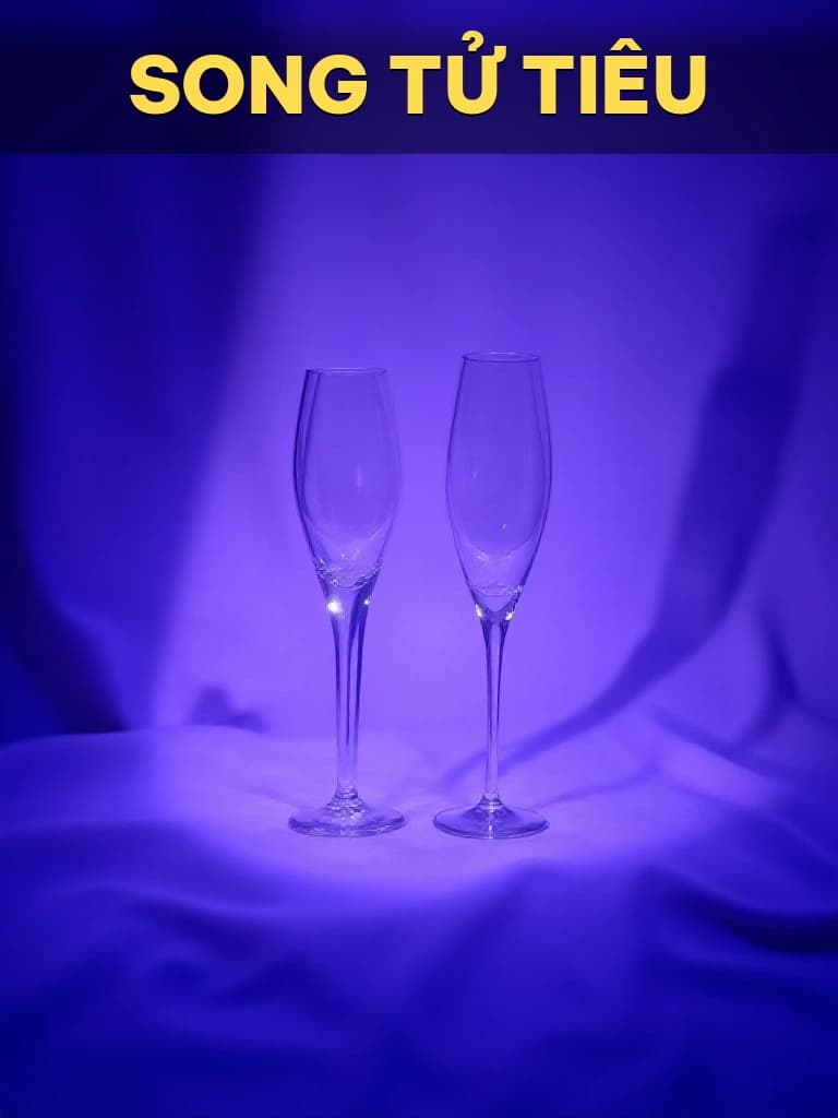 Song Tử Tiêu - Cover image