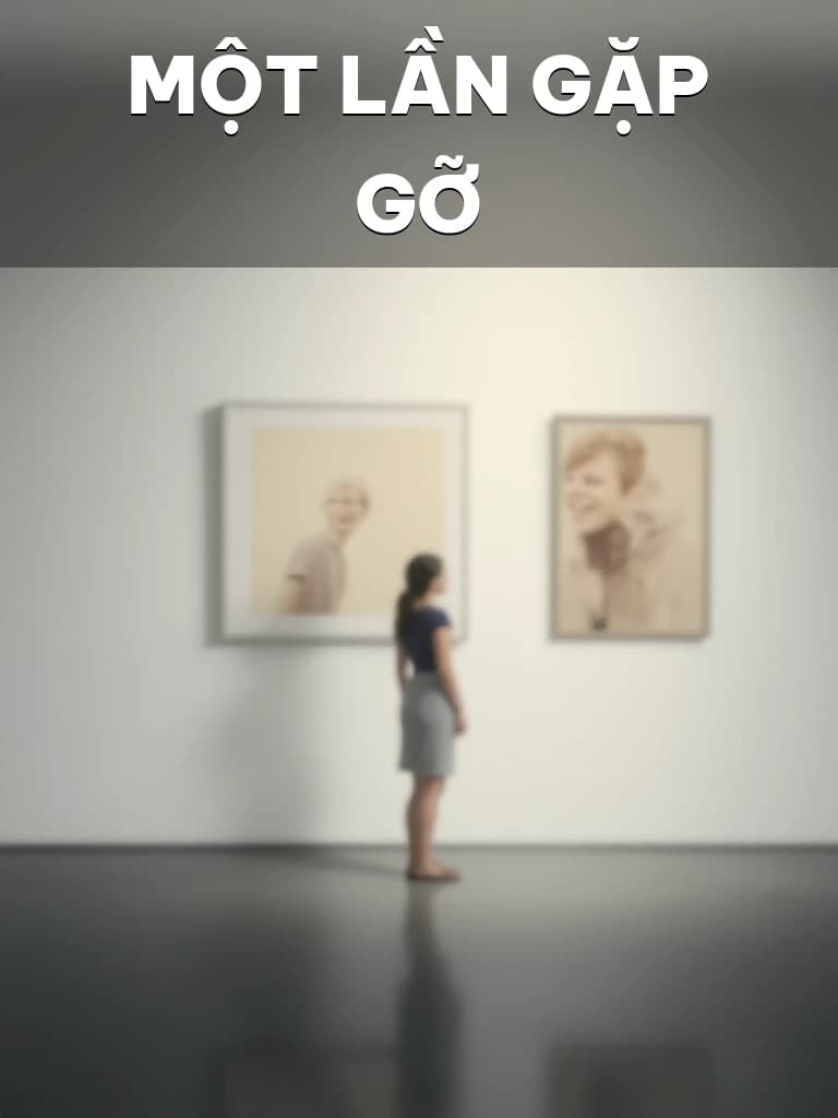 Một Lần Gặp Gỡ - Cover image